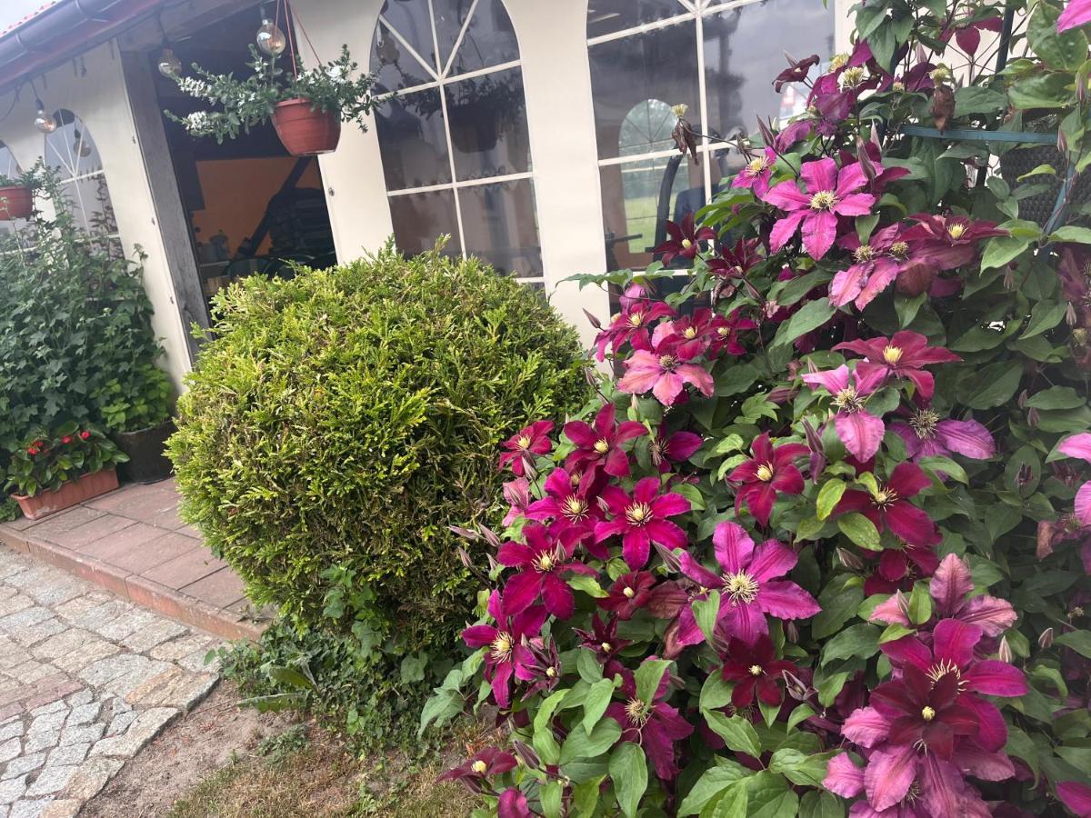 Villa Marlena 우스트 노리 모르스키 외부 사진